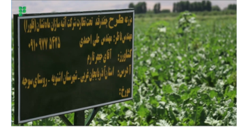 فیلم مزرعه چغندرقند (قسمت اول)، استان آذربایجان غربی، شهرستان اشنویه